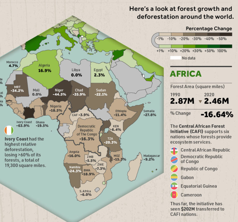 Mapped: 30 Years Of Deforestation And Forest Growth, By Country ...