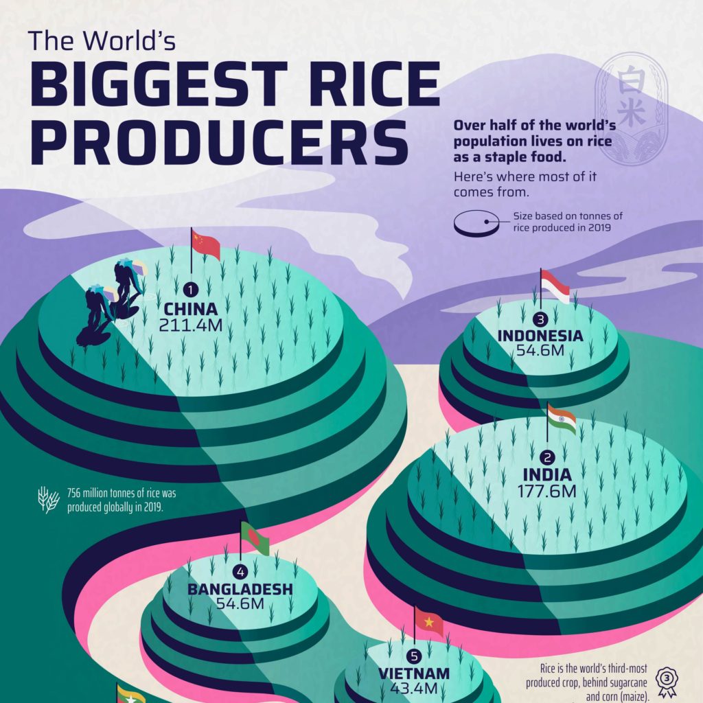 products-visual-capitalist-licensing