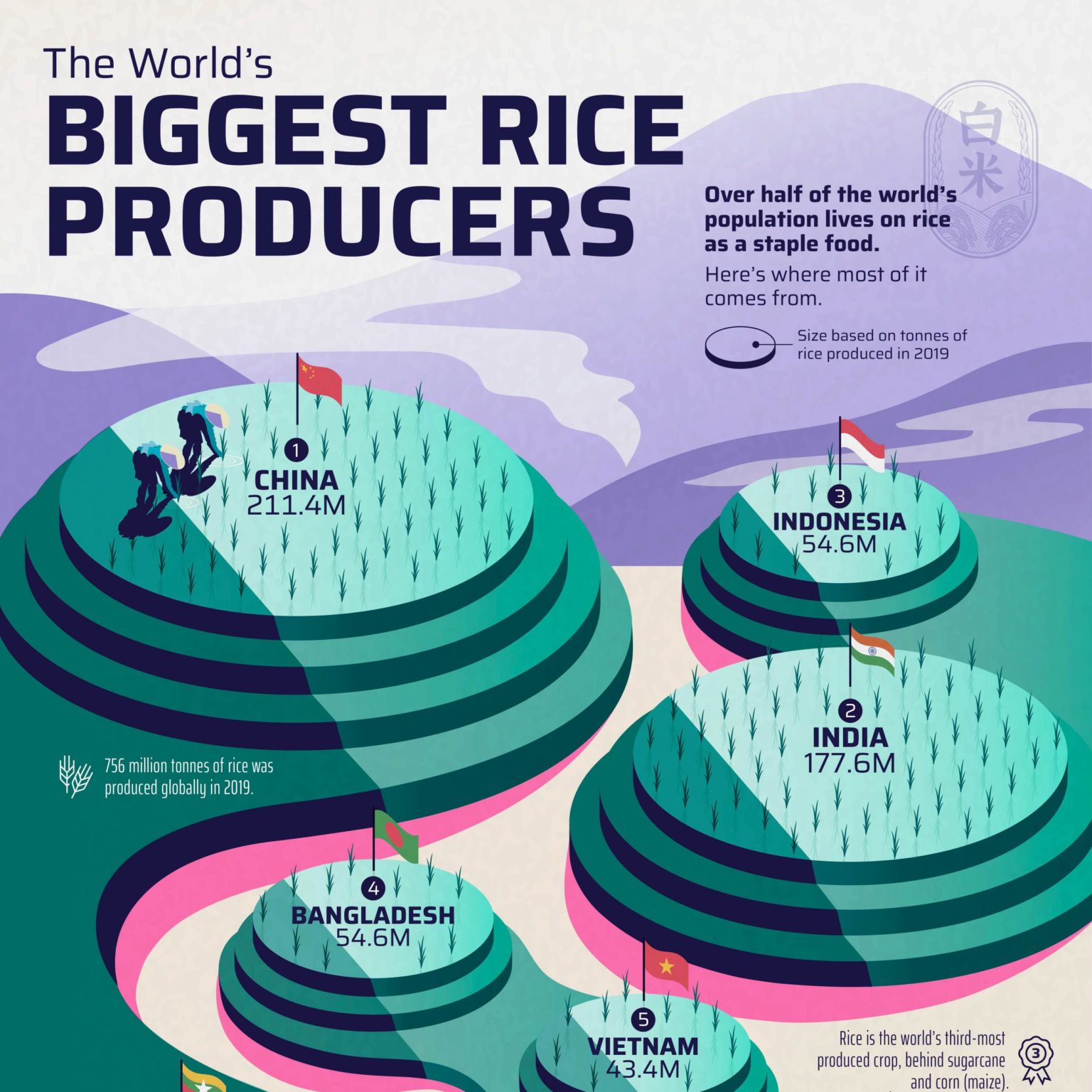 top-ten-largest-rice-producing-countries-in-the-world-youtube