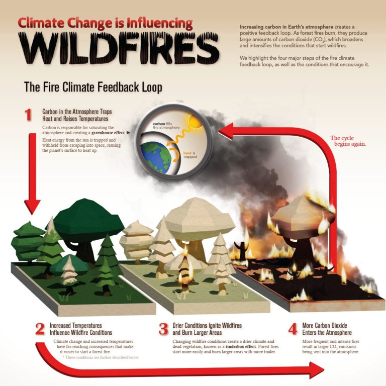 explained-the-relationship-between-climate-change-and-wildfires