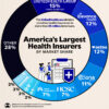 Ranked: The Biggest Health Insurance Giants in America