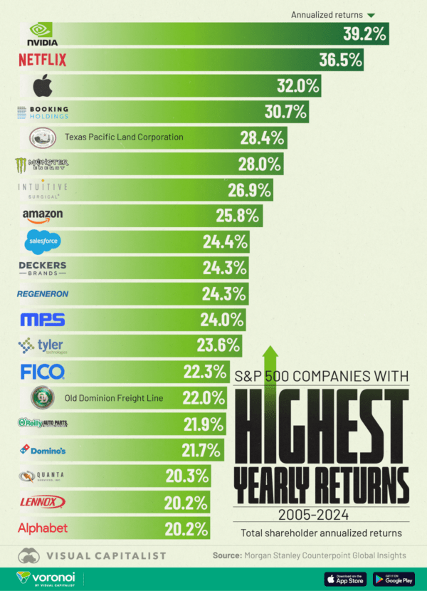 Ranked: The 20 Best-Performing S&P 500 Stocks (2005-2024)