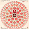 Visualizing Government Debt-to-GDP Around the World
