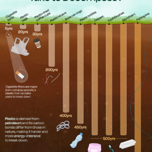 Infographic: How Long Does Plastic Take to Decompose?