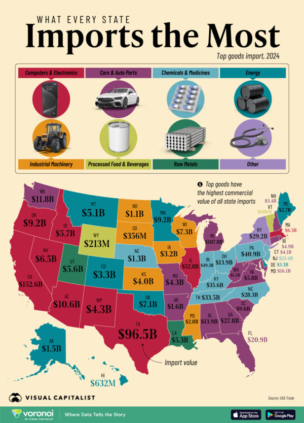 Mapped: Every U.S. State's Top Import in 2024