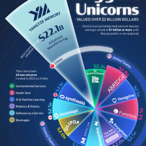 Ranked: Most Valuable Unicorns Created in 2025