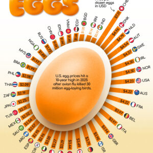 Charted: What the World's Paying for Eggs