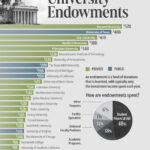 Ranked: The Largest American University Endowments