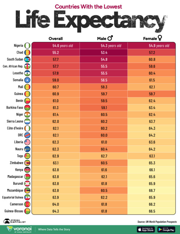 Ranked: Which Countries Have the Lowest Life Expectancy?