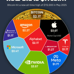 How Big is Bitcoin Compared to the World’s Largest Companies?