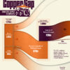 Visualizing the U.S. Copper Gap