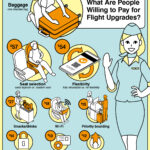 Visualized: What Are Flyers Are Willing to Pay for Flight Upgrades?