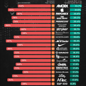 Charted: Drawdowns of the Best-Performing U.S. Stocks (1985–2024)