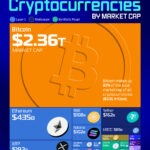Ranked: The 20 Largest Cryptocurrencies by Market Cap